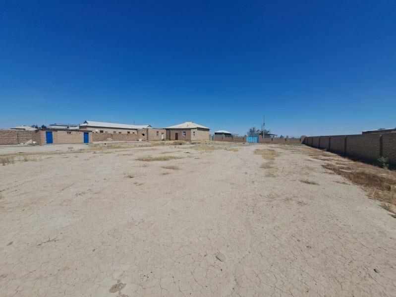 satlyk jay - Sarahs - img 3