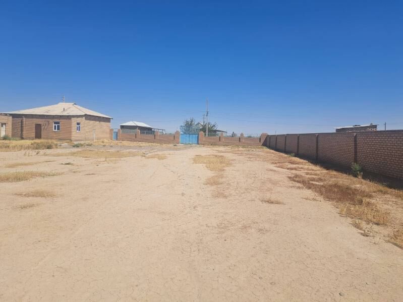 satlyk jay - Sarahs - img 5