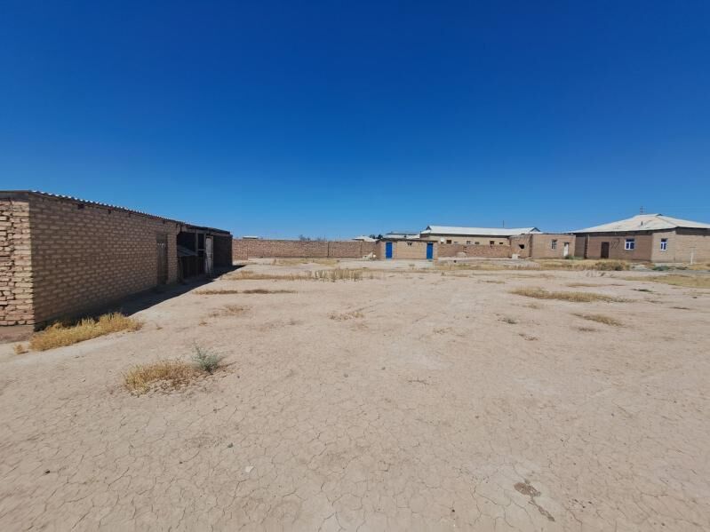 satlyk jay - Sarahs - img 4