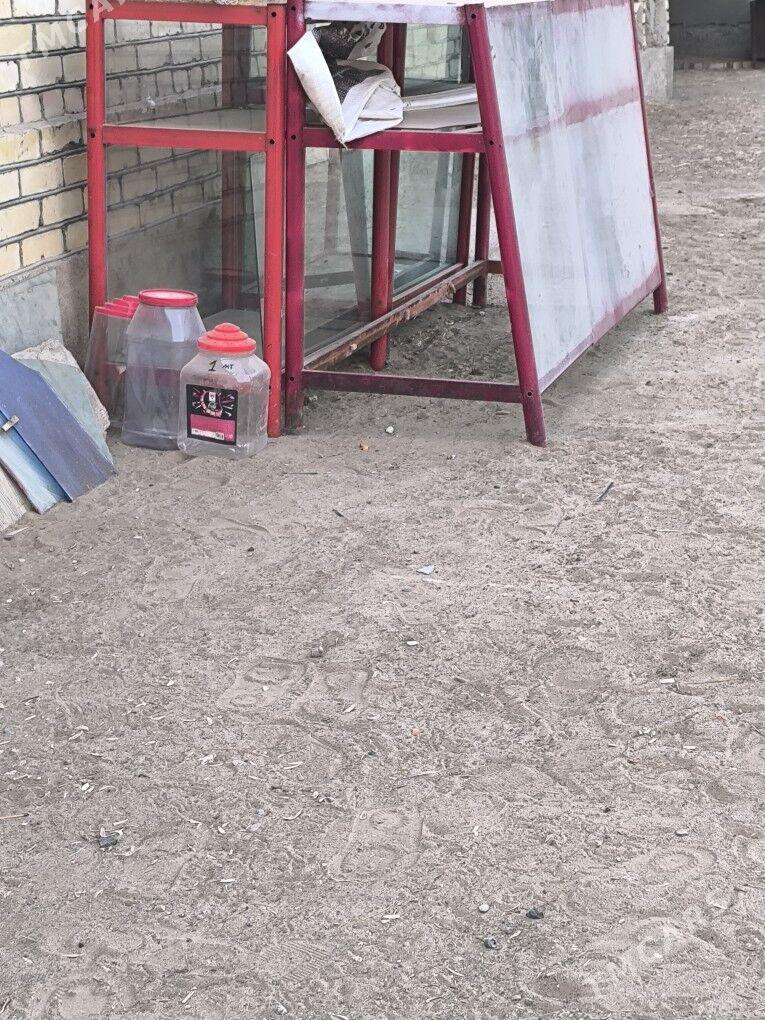 polka - Sakarçäge - img 4