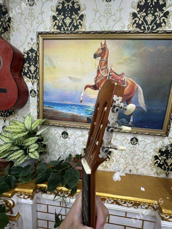 Gitara - Sarahs - img 6