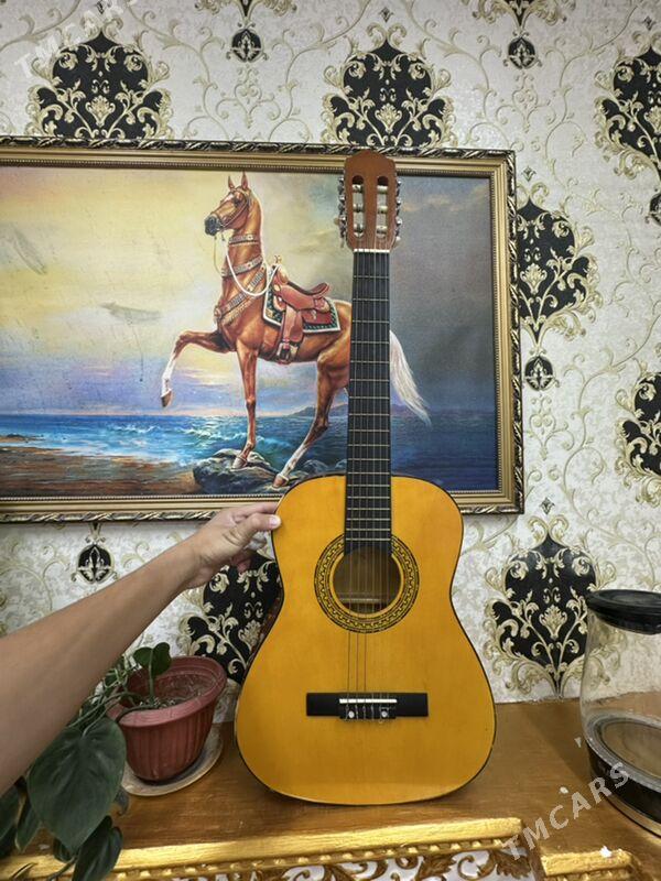 Gitara - Sarahs - img 4