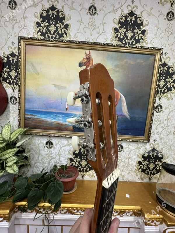 Gitara - Sarahs - img 5