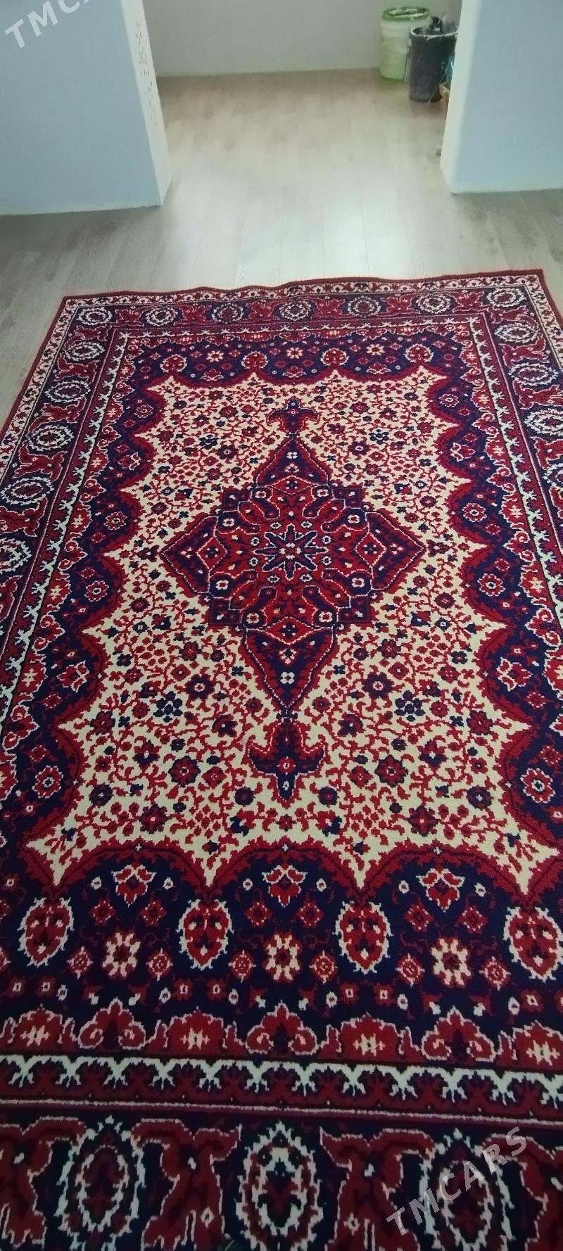 haly germanskiy - Balkanabat - img 1