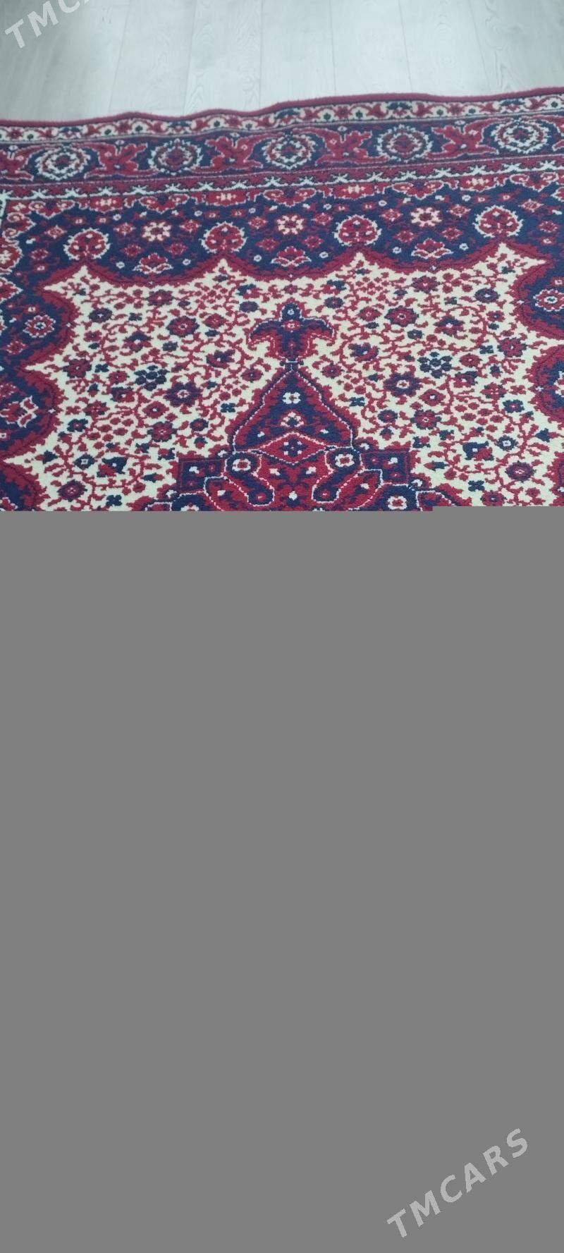 haly germanskiy - Balkanabat - img 2