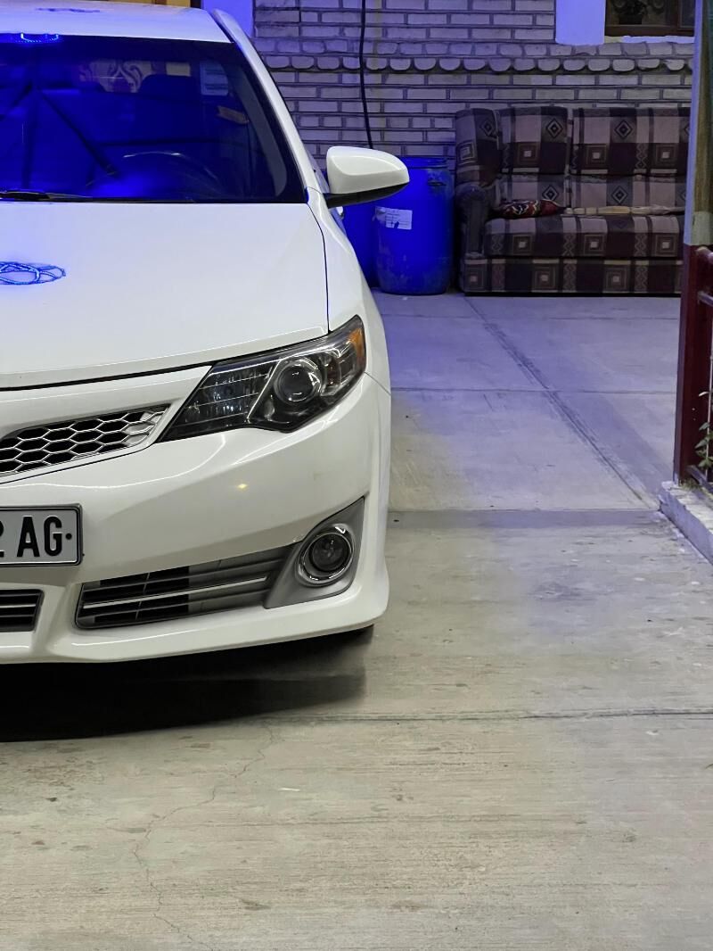 Moyka Oglan Gerek 9komsar - Ak bugdaý etraby - img 1