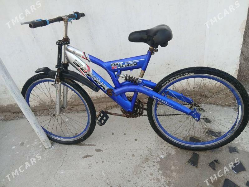 welik - Сакарчага - img 2