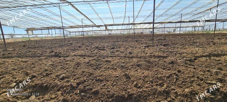 PARNIK - Мургап - img 5