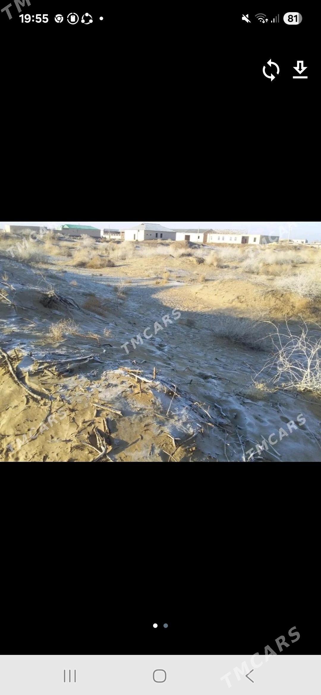 Satlyk jay - Farap - img 2