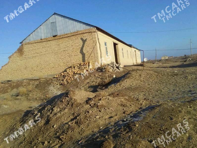 Satlyk jay - Farap - img 1