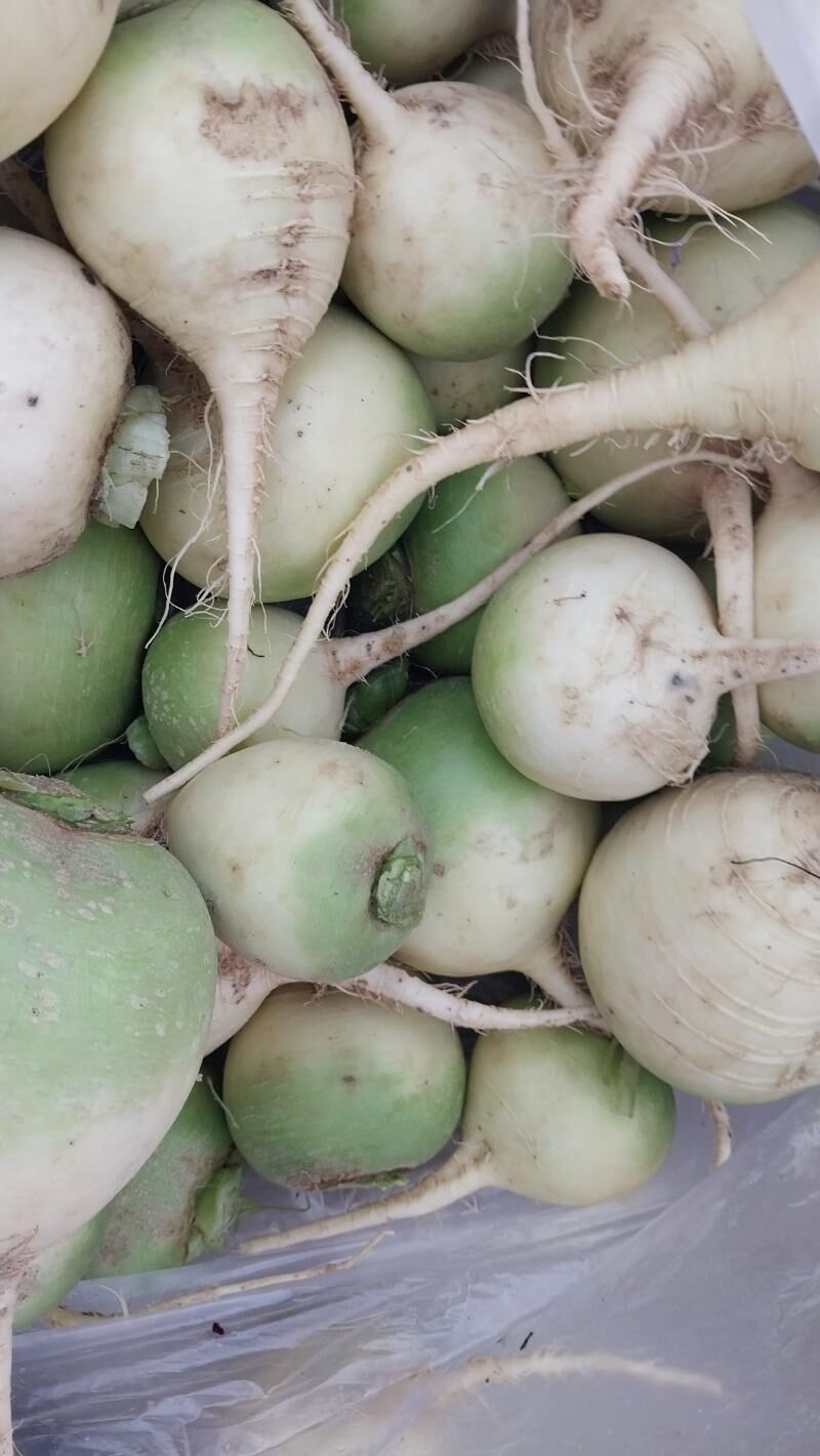 kasir turp - Рухабат (90-й разьезд) - img 1