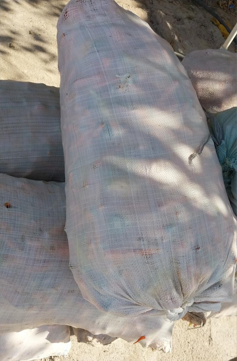 kasir turp - Рухабат (90-й разьезд) - img 2