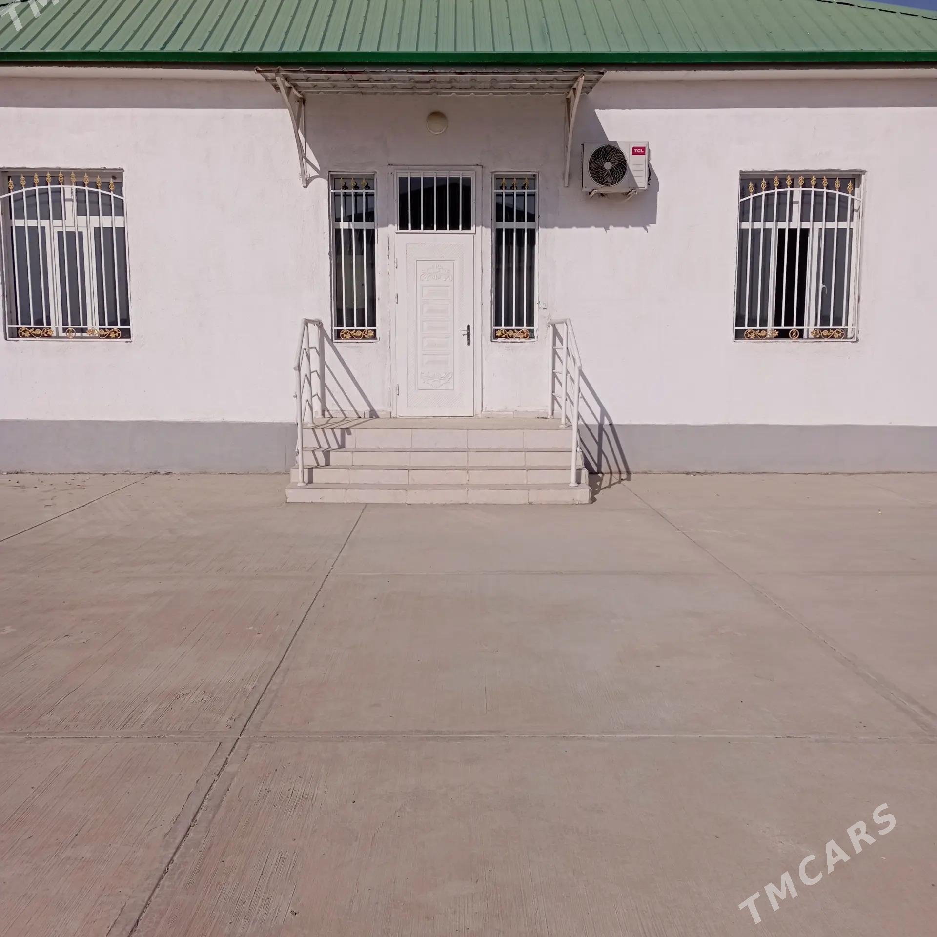 kopetdagyň ýalkymy - Gökdepe - img 2