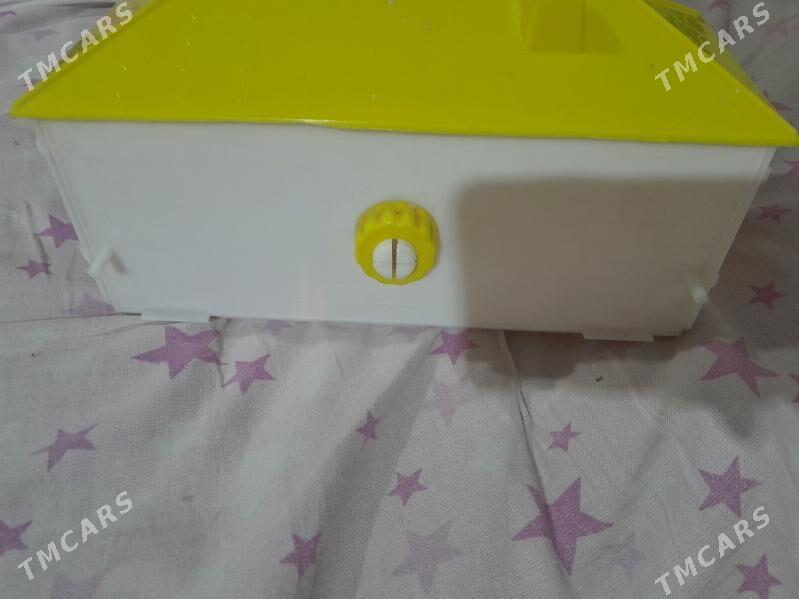 gus dogyan yeri - Туркменабат - img 2