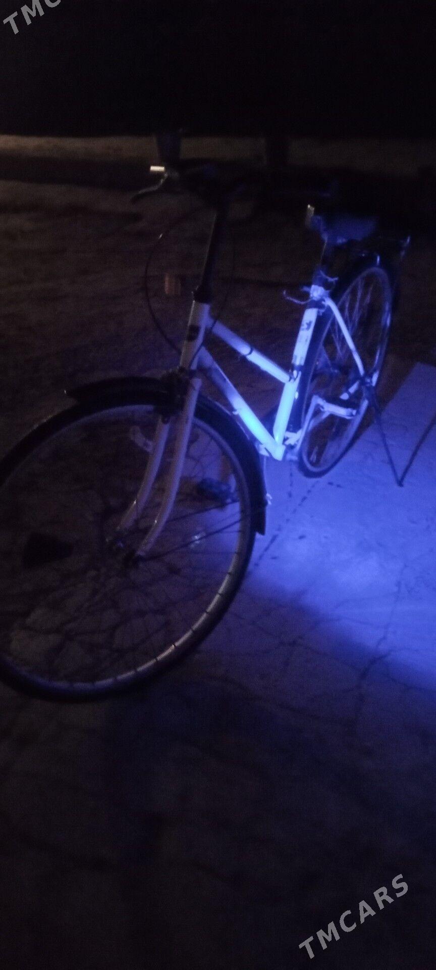 heleý rama tigir - Kaka - img 2