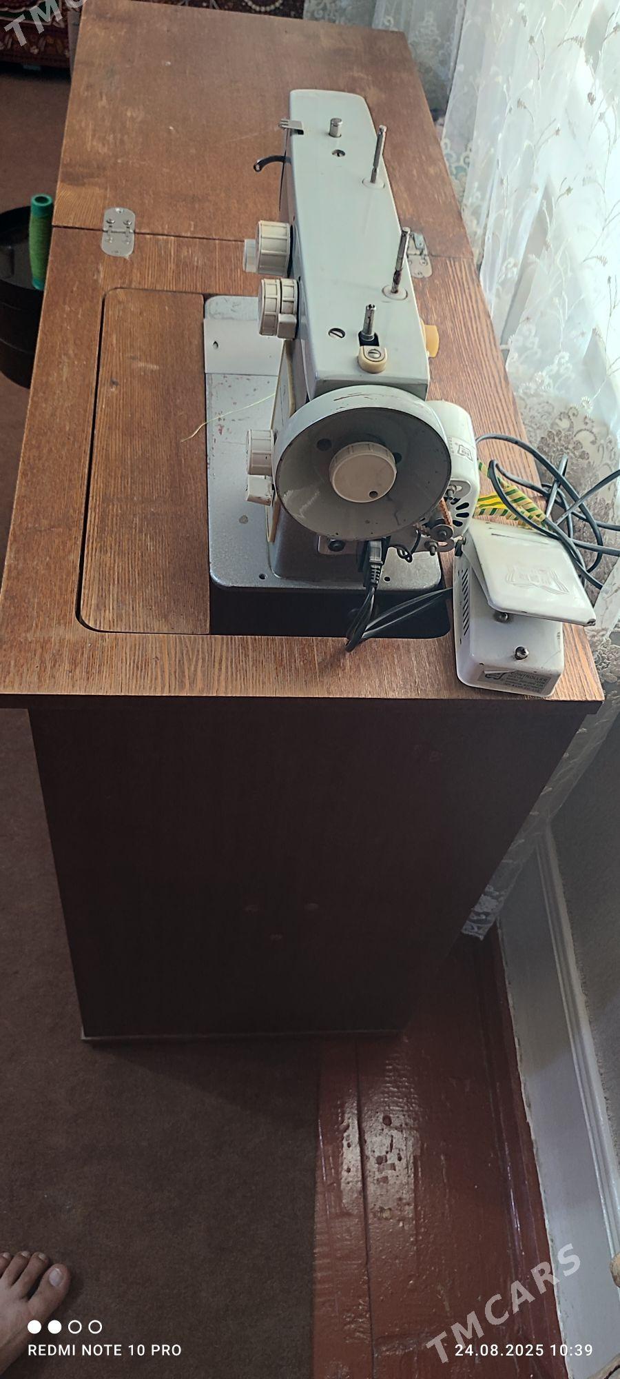 чайка - Çärjew - img 3