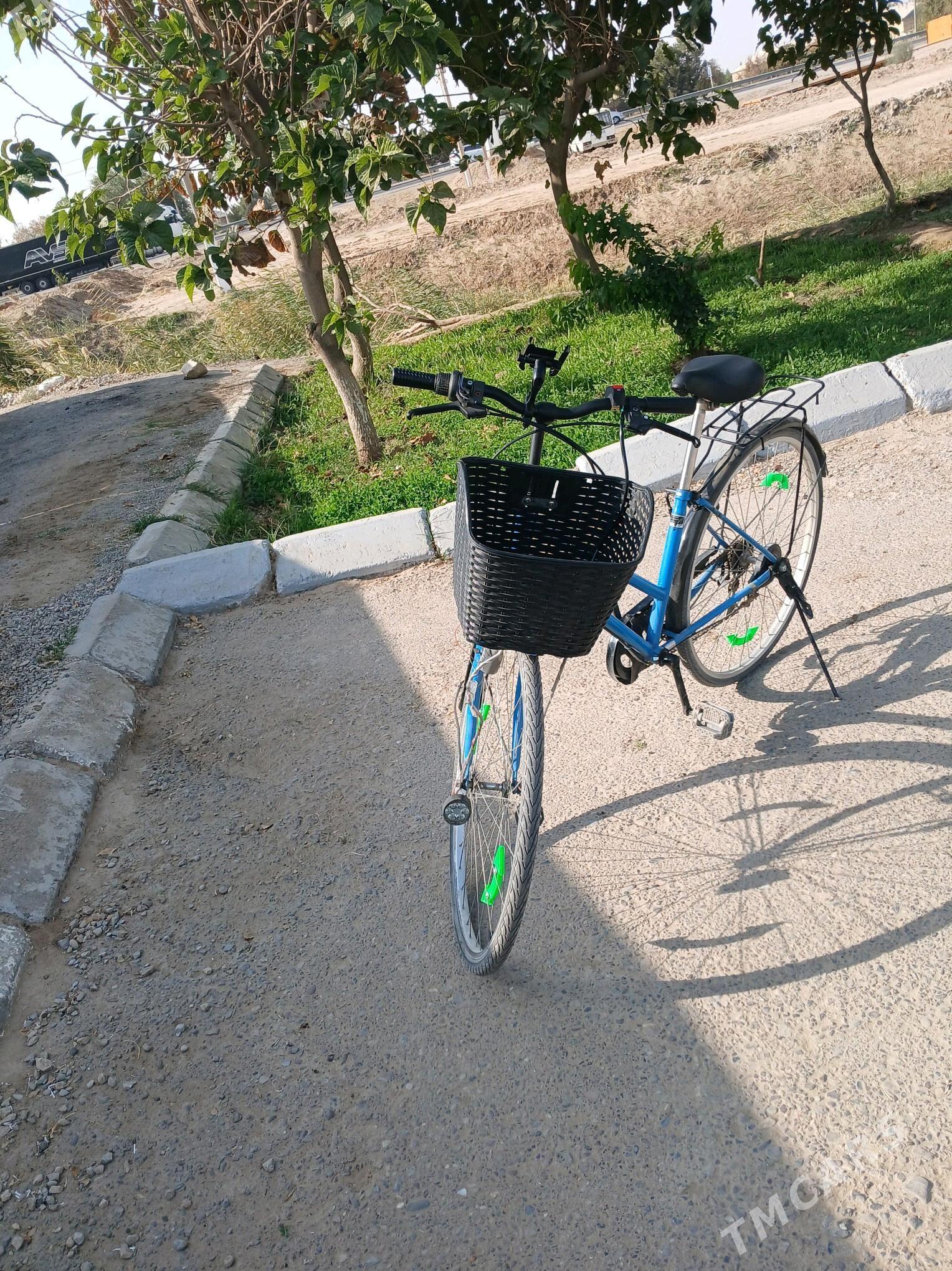 welsepit 27 - Мары - img 3