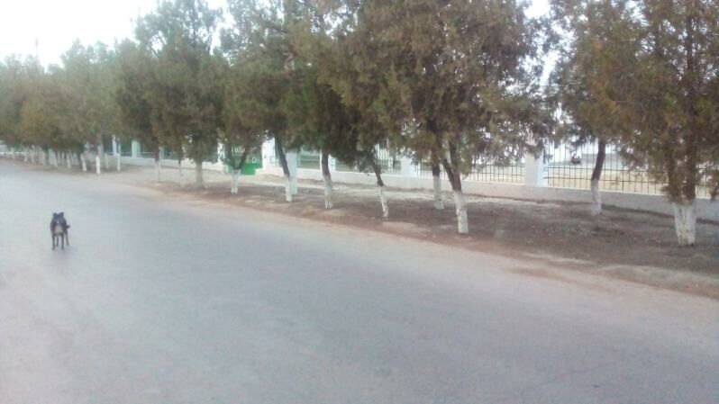 Arenda Magazyn eyesinden - Bekrewe - img 3