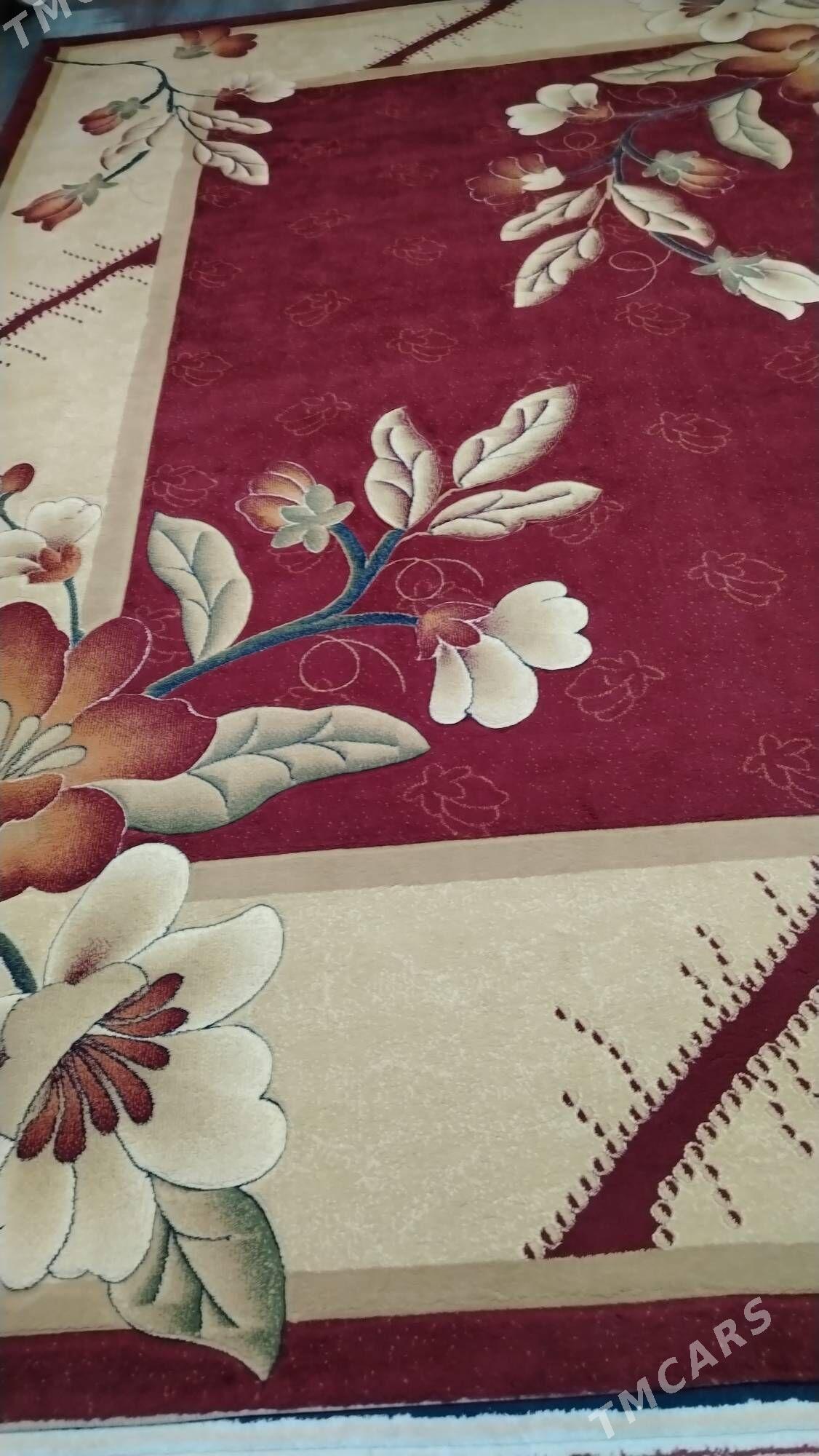 Haly - Balkanabat - img 1