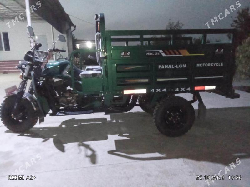 Fekon FK200-14G 2025 - 34 000 TMT - Сакарчага - img 2