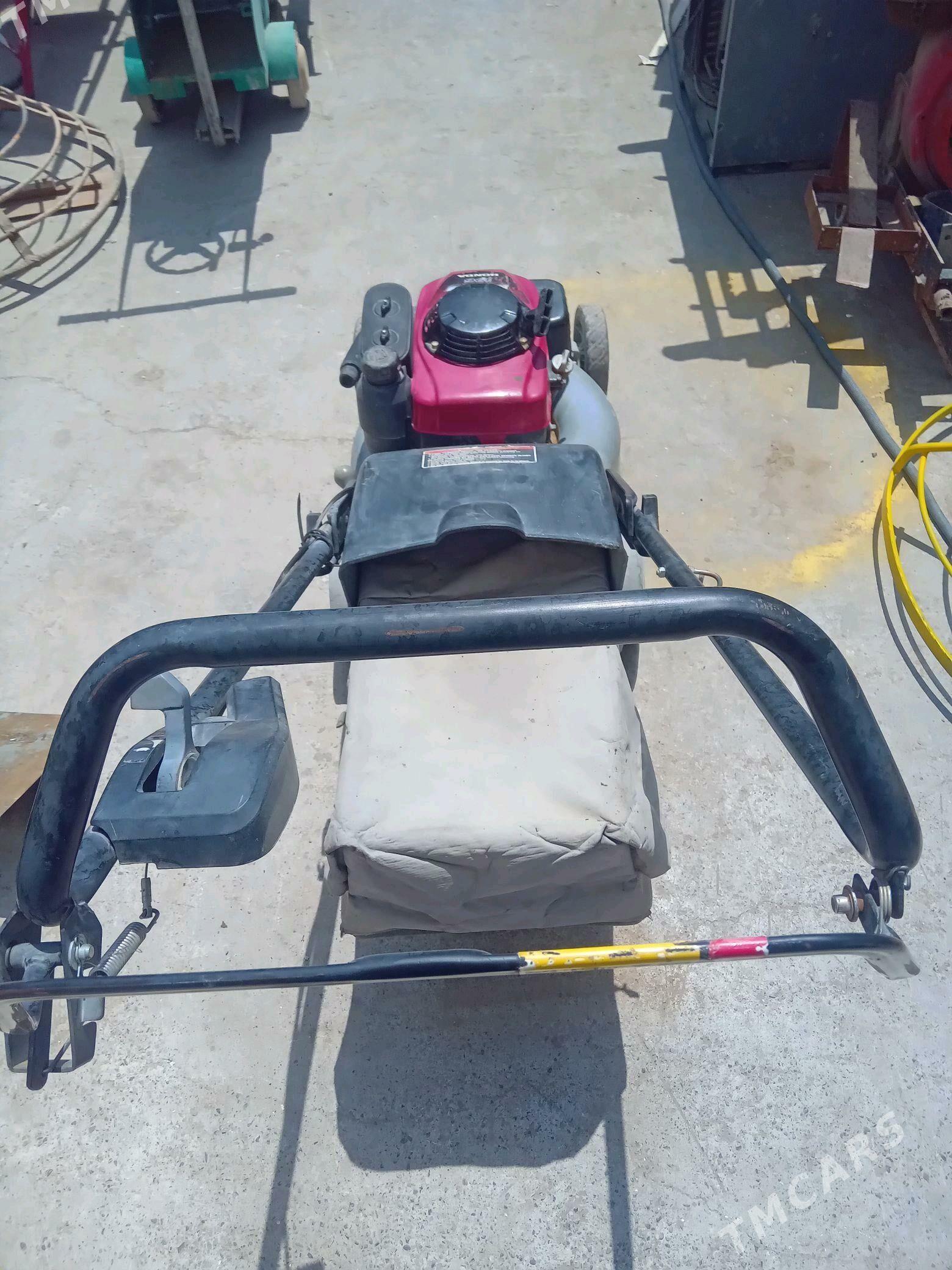 Gazon kasilka - Ашхабад - img 2