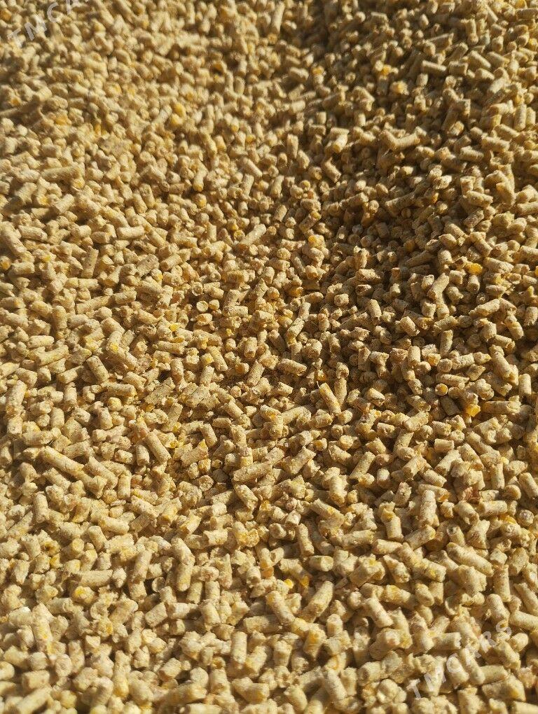 Granul iymler - Мары - img 3