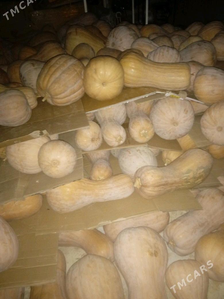 kadi - Серахс - img 1