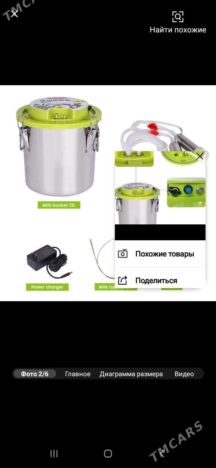 Sygyr sagýan - Çärjew - img 4