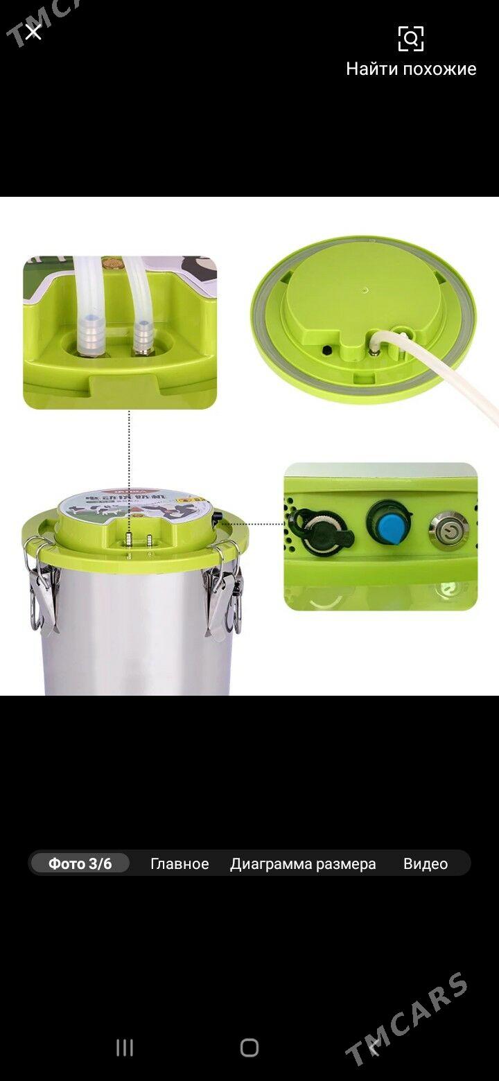 Sygyr sagýan - Çärjew - img 3