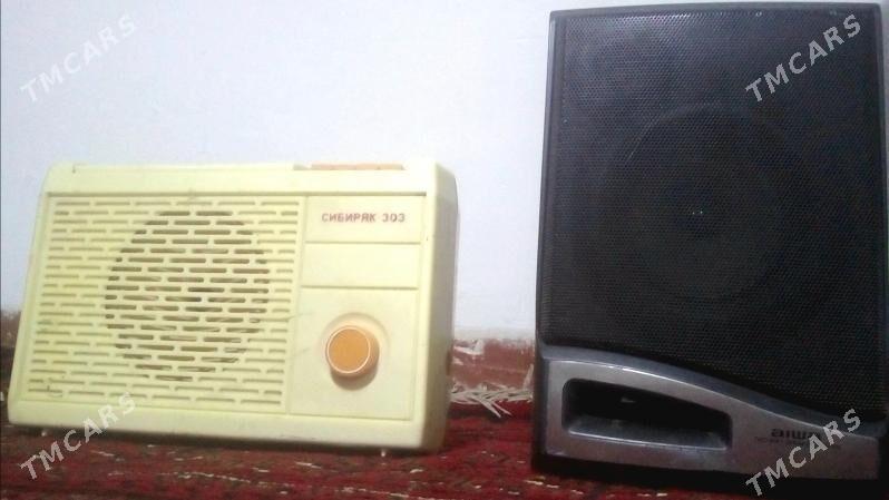 Dutara usinitel - Mary - img 2