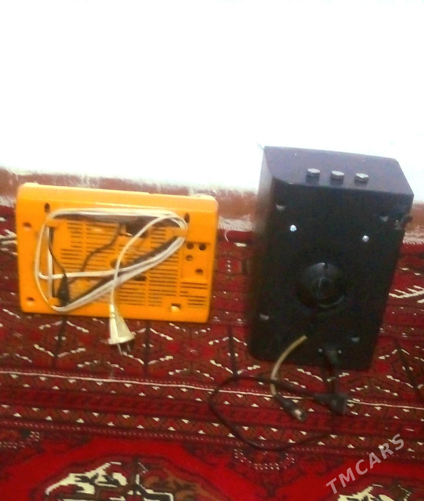 Dutara usinitel - Mary - img 4