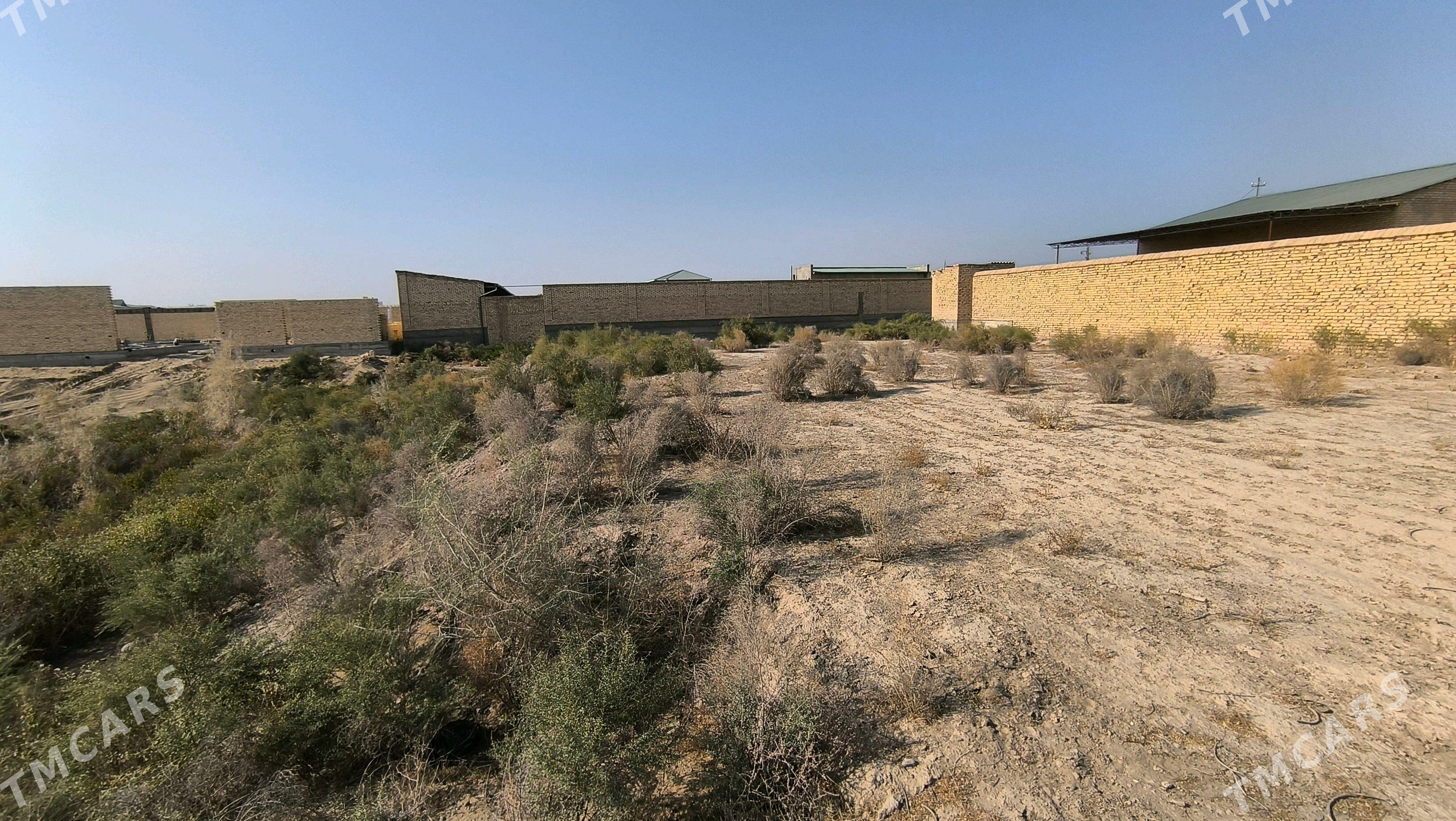 Mellek 8 sotuk - Türkmenabat - img 2