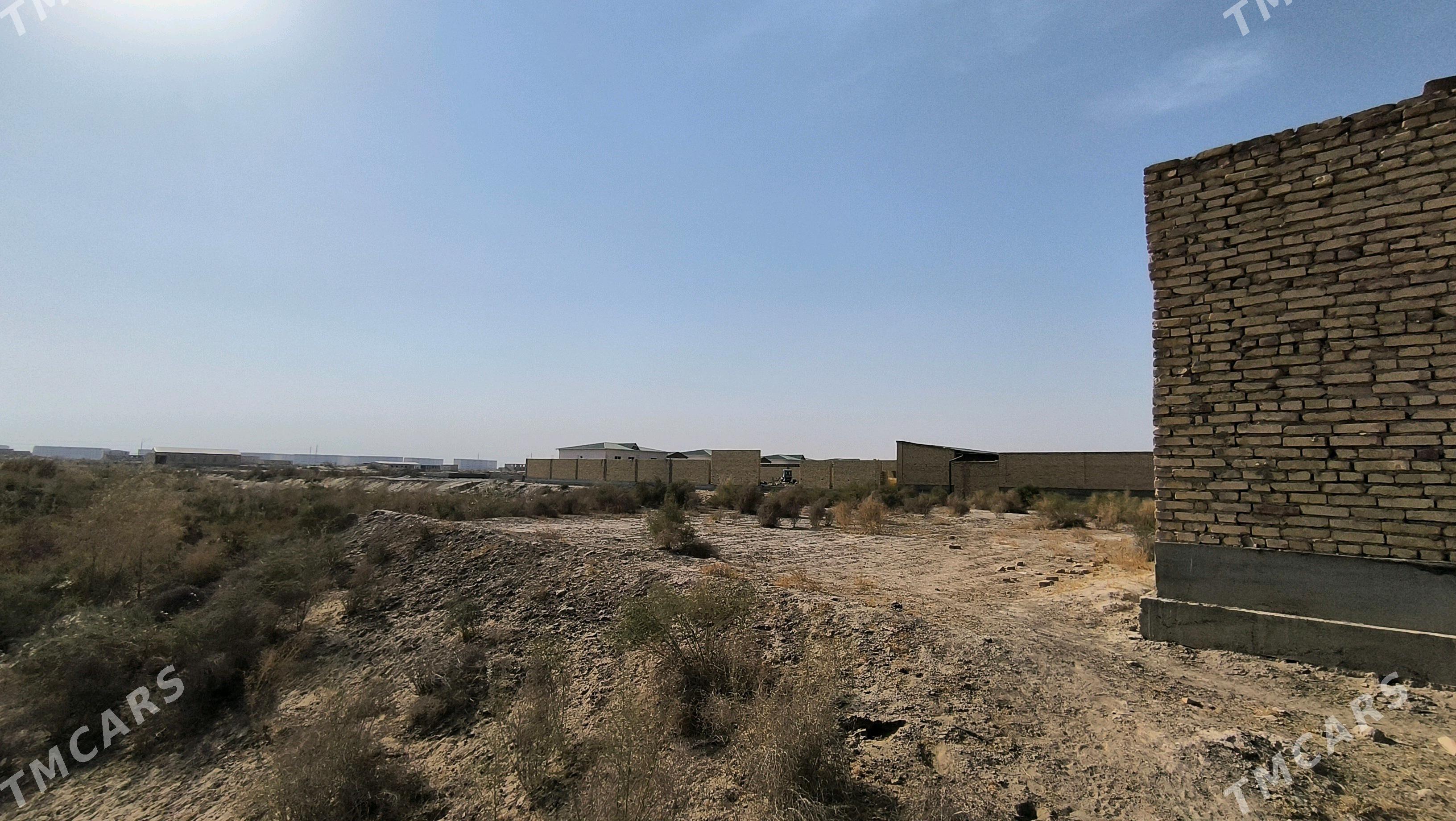 Mellek 8 sotuk - Türkmenabat - img 4