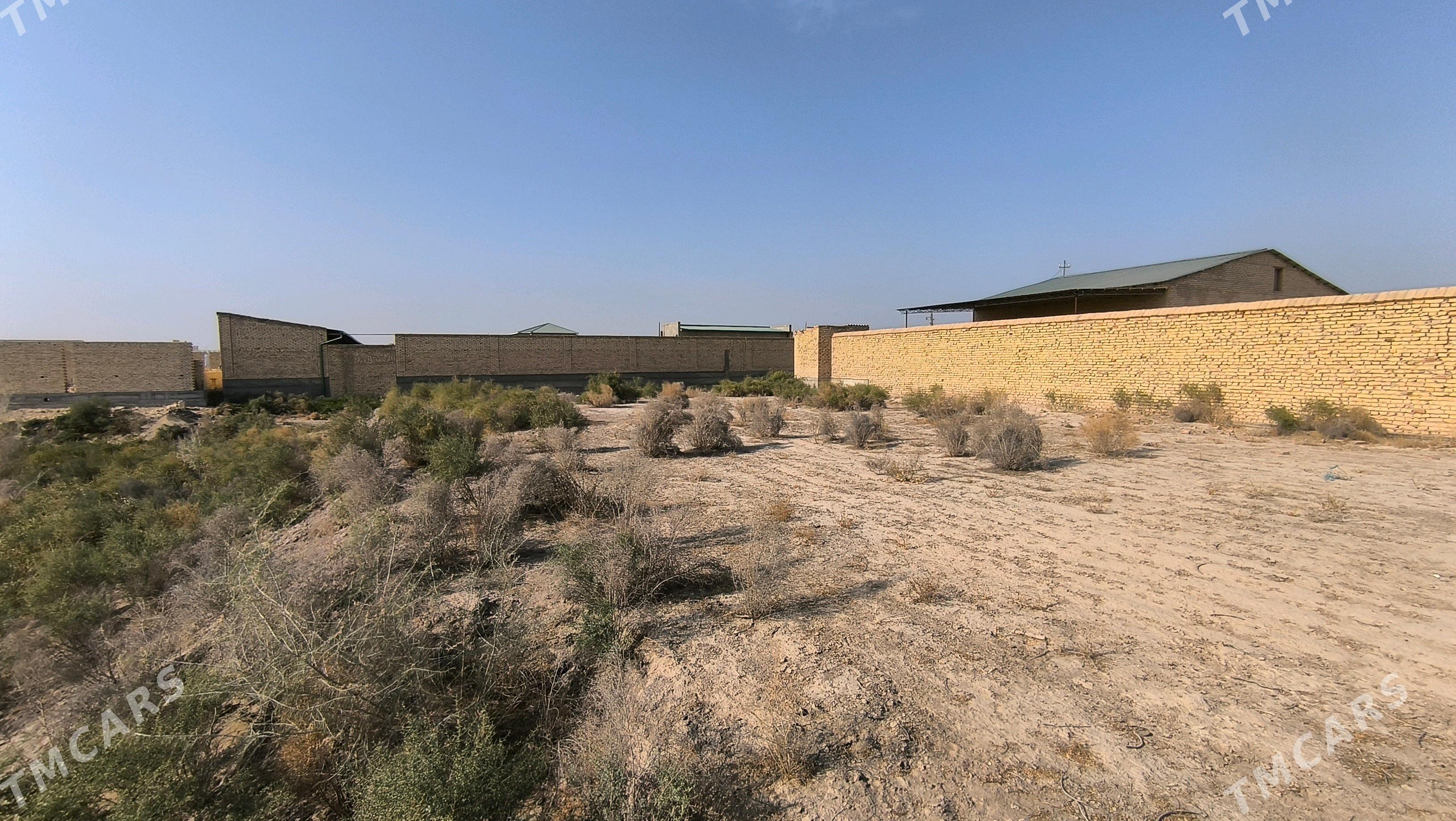 Mellek 8 sotuk - Türkmenabat - img 3