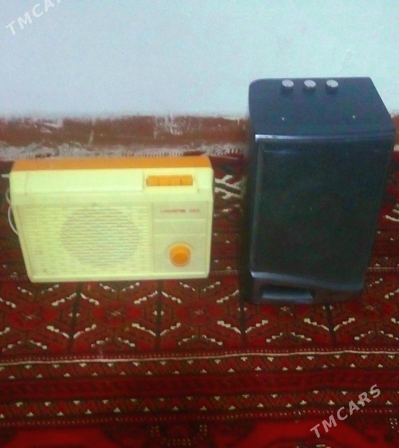 Dutara usinitel - Mary - img 3