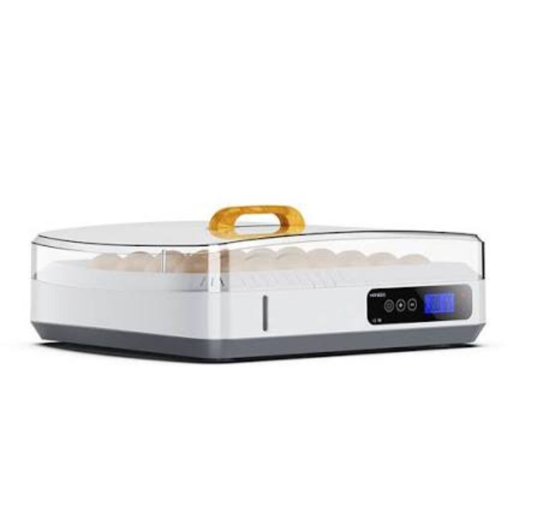 Inkubator (35 ýumurtga) - Çärjew - img 3