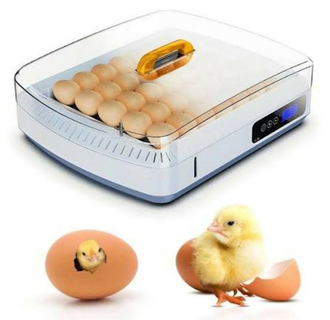 Inkubator (35 ýumurtga) - Çärjew - img 2