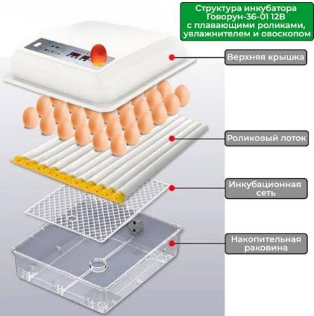 Inkubator (35 ýumurtga) - Çärjew - img 4