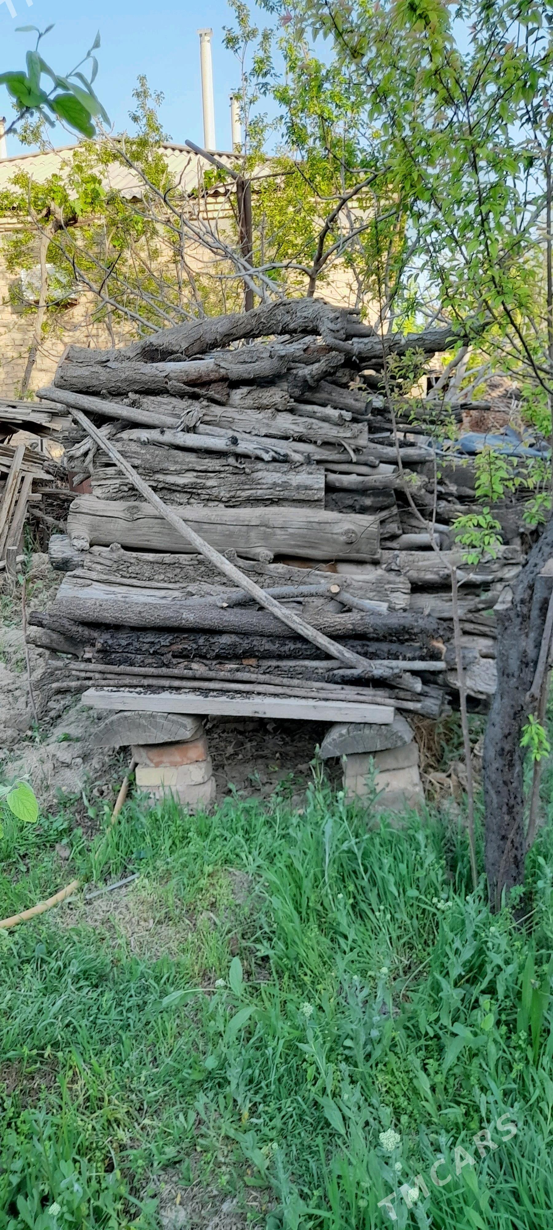 Töňňe Ýyly Täze - Гёкдепе - img 2