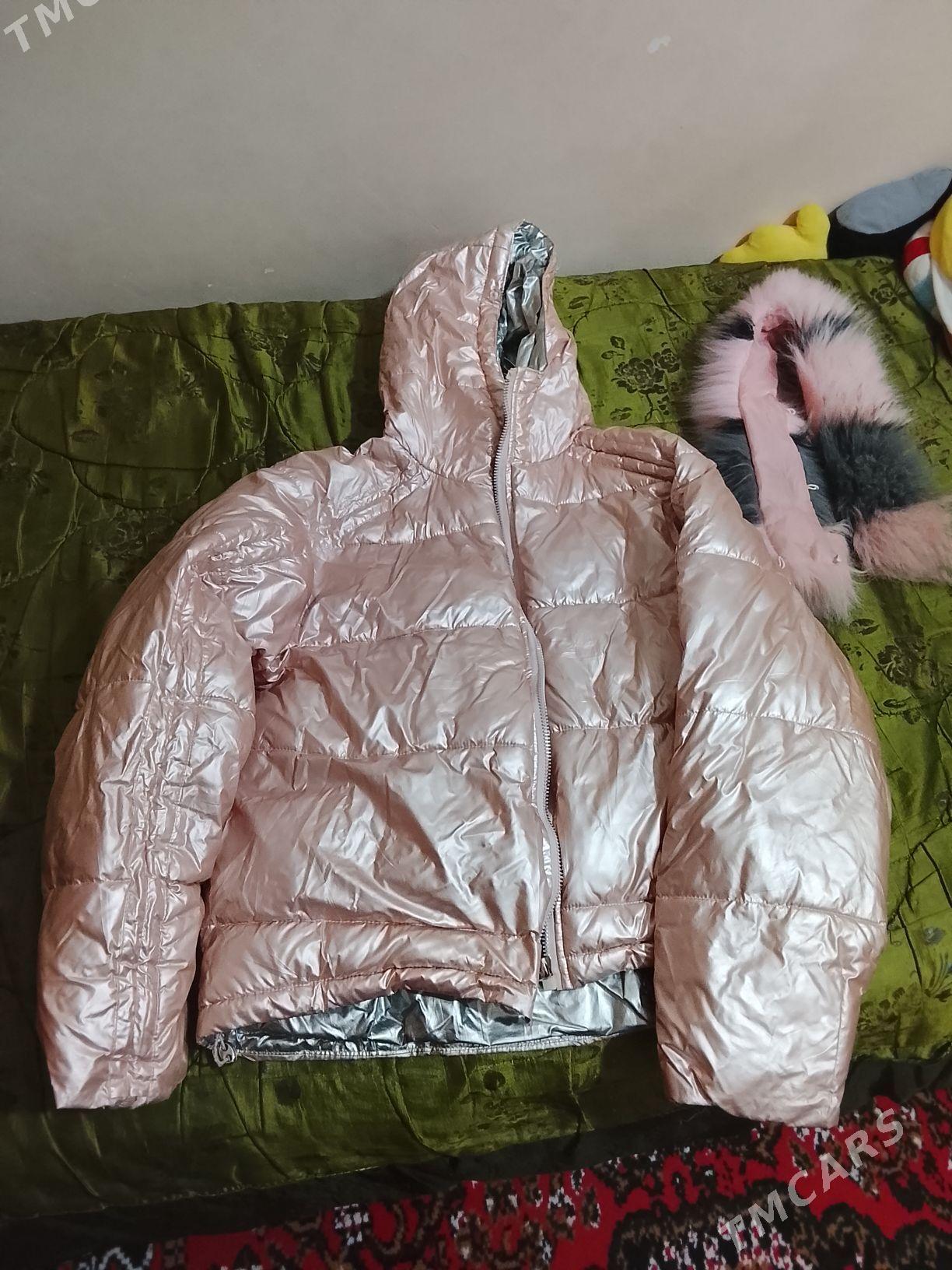 Котенка и куртка - Türkmenabat - img 2