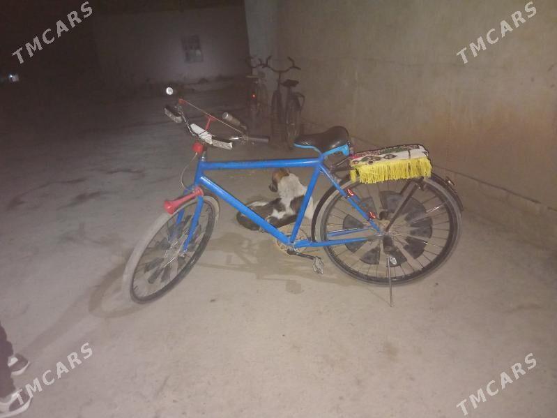 wellik ural - Gurbansoltan Eje - img 6