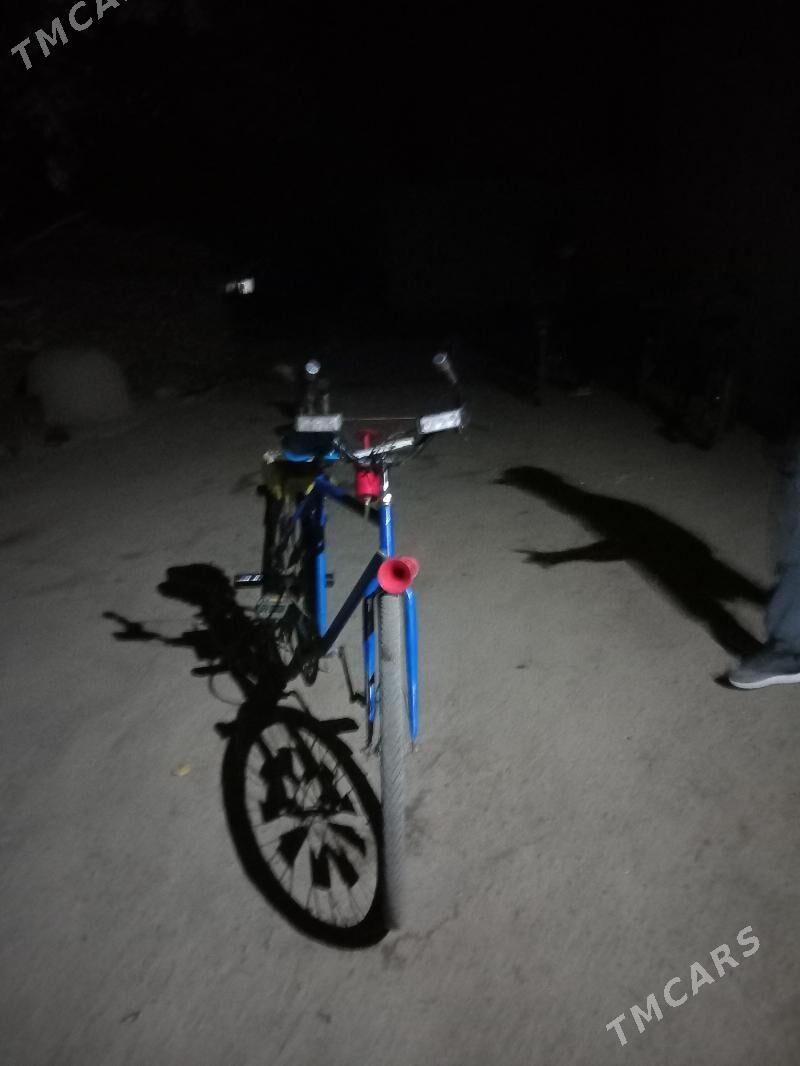 wellik ural - Gurbansoltan Eje - img 5