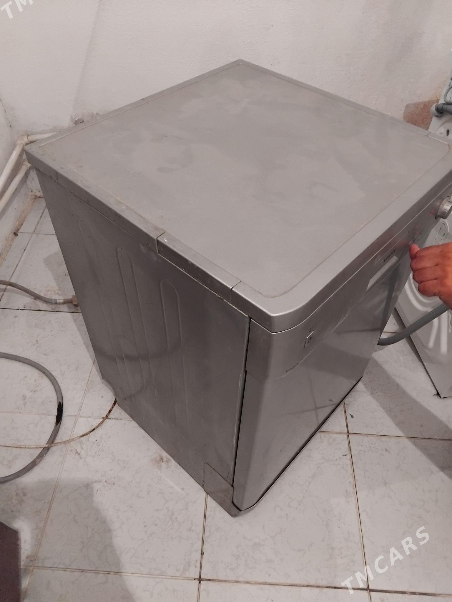 Pasuda moýka - Büzmeýin - img 3