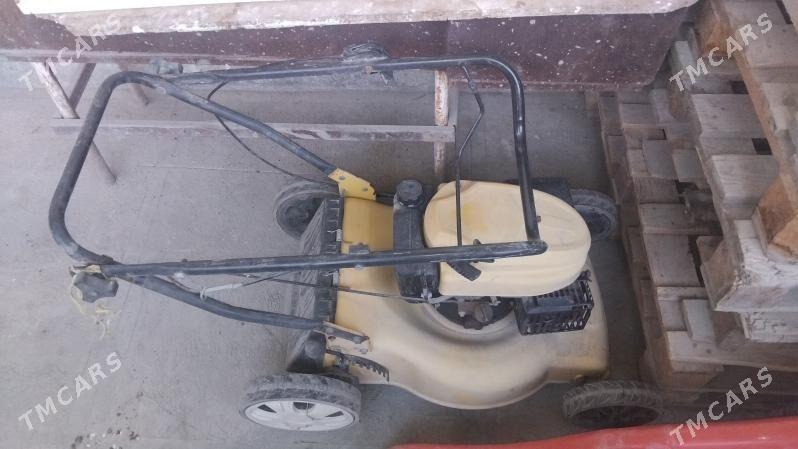 Gazon oryan - Türkmenabat - img 2