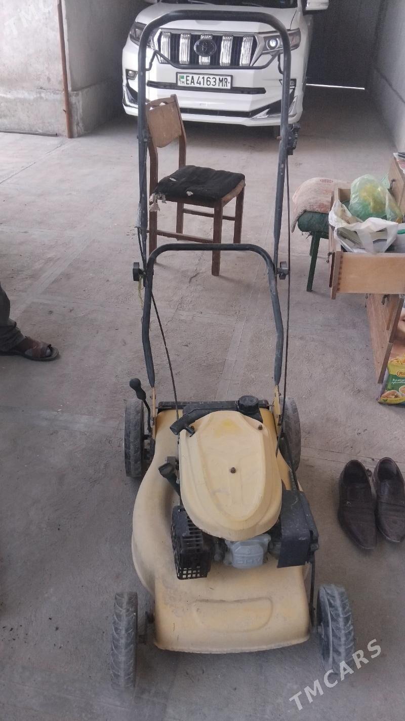 Gazon oryan - Türkmenabat - img 3