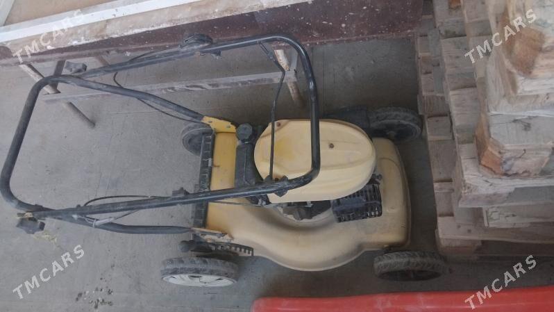 Gazon oryan - Türkmenabat - img 1