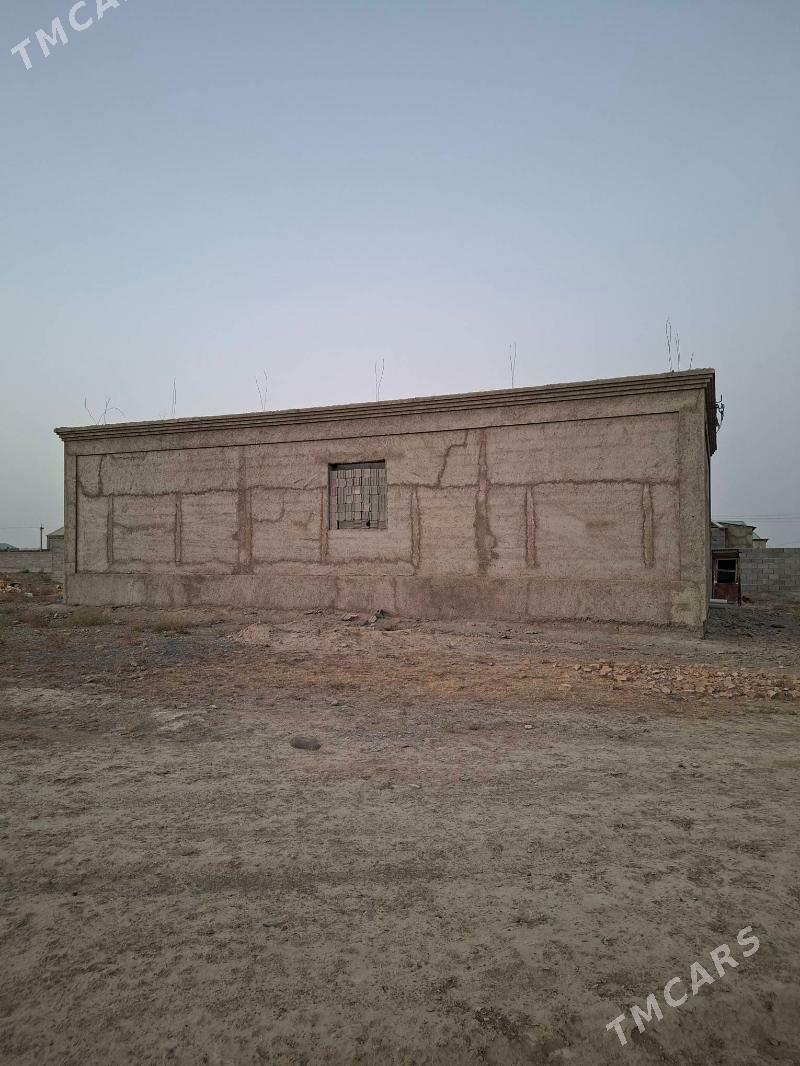 SATLYK JAY  Bäherden - Бахарден - img 3