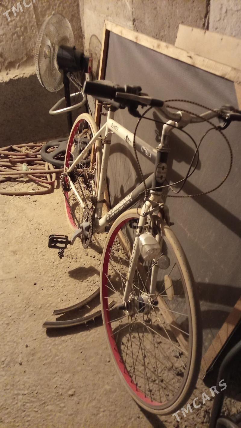 ispartivni - Daşoguz - img 1