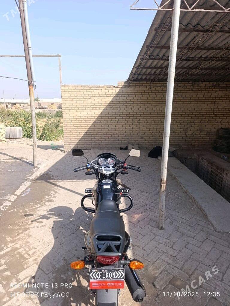 Fekon FK200-14G 2014 - 20 000 TMT - Kerki - img 5
