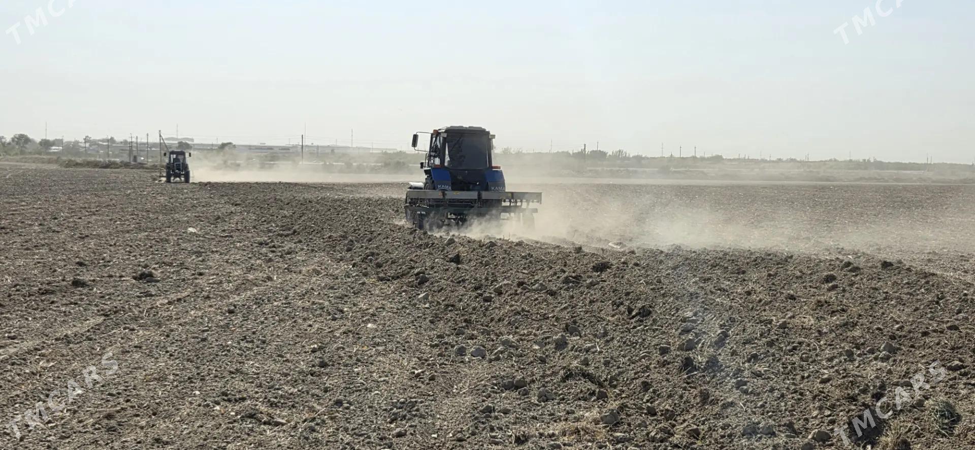 Ekin yer - Ak bugdaý etraby - img 7